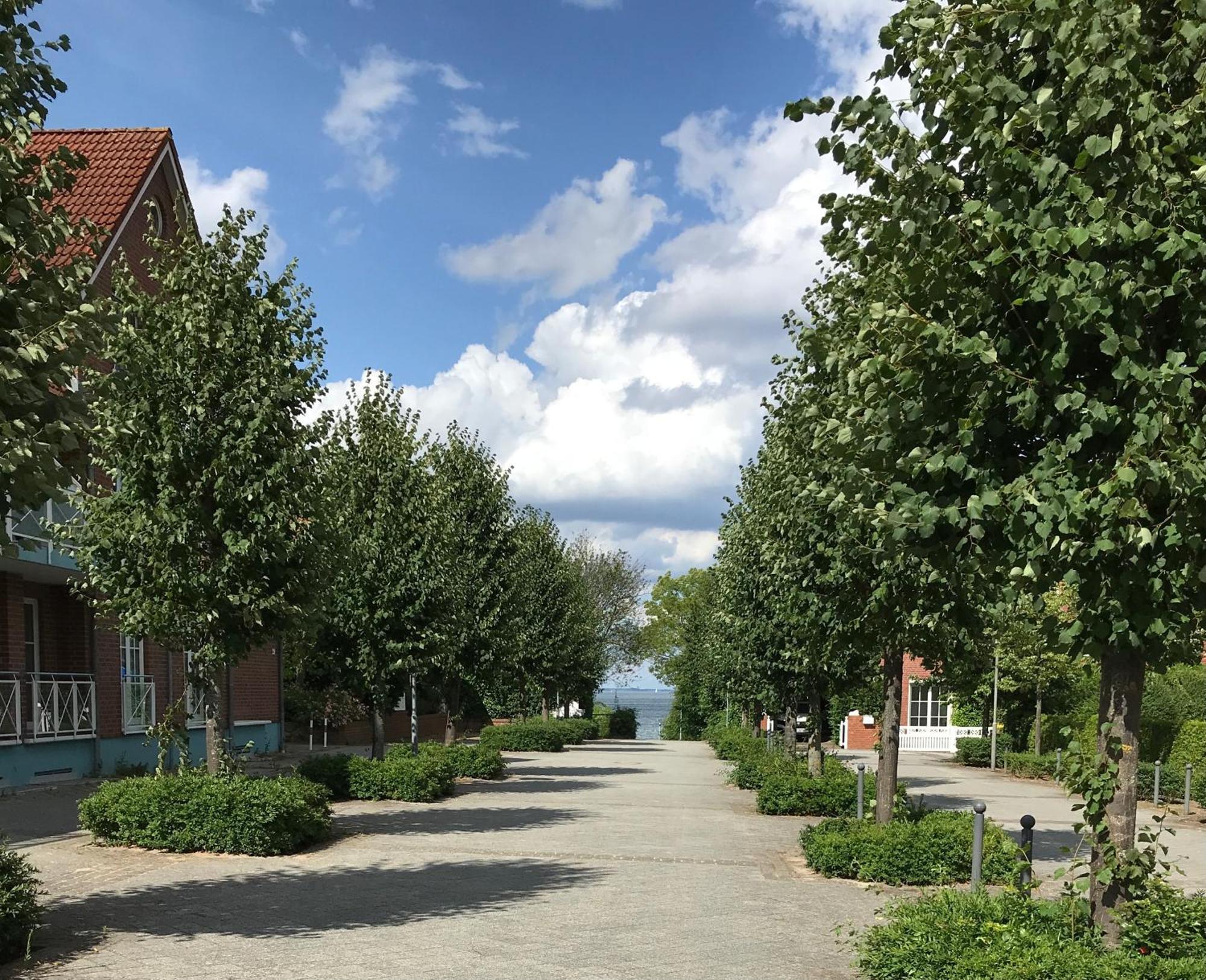 Ost11A Ferienwohnung Strandnah Niendorf  Eksteriør billede